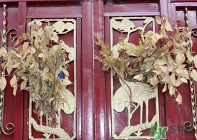 端午節(jié)門(mén)上掛的那個(gè)草叫什么？端午節(jié)掛門(mén)上的叫什么？