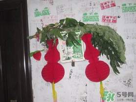 端午節(jié)門(mén)上掛的那個(gè)草叫什么？端午節(jié)掛門(mén)上的叫什么？