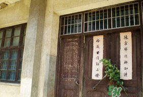 端午節(jié)插門上的是什么？端午節(jié)為什么要插艾草？