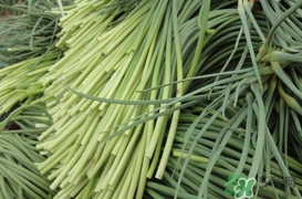 蒜薹怎么摘？蒜薹怎么擇？