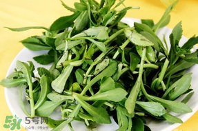 養(yǎng)心菜能生吃嗎？養(yǎng)心菜怎么吃？