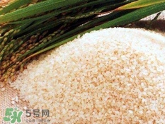 包粽子的米要泡多久？包粽子的米是什么米？