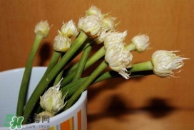 蒜薹可以放冰箱嗎？蒜薹可以冷凍嗎