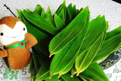 包粽子的葉子叫什么？包粽子的葉子怎么處理？