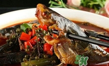 黃辣丁一斤多少錢？黃辣丁價格