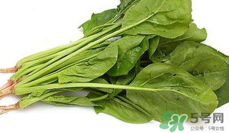 黃辣丁能和菠菜同食不？菠菜可以和黃辣丁一起吃嗎