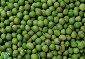 青豆可以打豆?jié){嗎？青豆能做豆?jié){嗎？