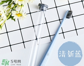 amortals爾木萄牙刷怎么樣？amortals爾木萄牙刷多少錢？