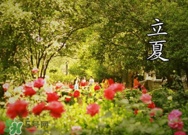 ?立夏是夏天嗎？?立夏是夏天的開始嗎？