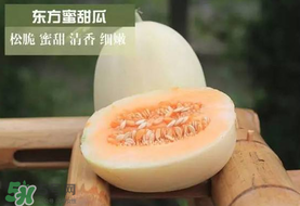 甜瓜可以帶上飛機嗎？坐飛機可以帶香瓜嗎？