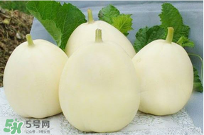 甜瓜可以帶上飛機嗎？坐飛機可以帶香瓜嗎？