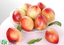 油桃什么時候成熟？油桃什么季節(jié)成熟