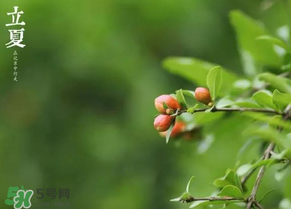 立夏要注意什么？立夏養(yǎng)生禁忌