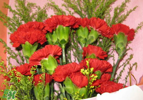 母親節(jié)要不要給男朋友媽媽買禮物？母親節(jié)送男友媽媽禮物