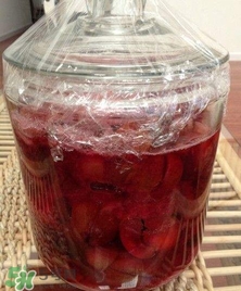 三華李能泡酒嗎？三華李怎么泡