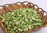 青蠶豆怎么保存？剝好的蠶豆怎么保存