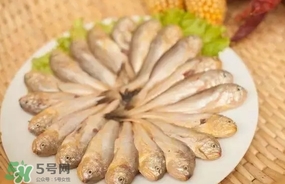黃唇魚是黃花魚嗎？黃唇魚是黃魚嗎？