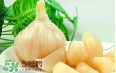 蒜頭泡醋有什么功效？蒜頭泡醋的功效和做法