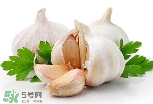 蒜頭能放冰箱嗎？蒜頭能放多久？