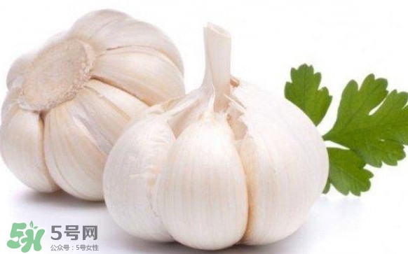 蒜頭發(fā)芽能吃嗎？蒜頭發(fā)芽可以吃嗎？