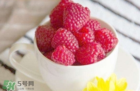 覆盆子是什么？覆盆子是樹莓嗎