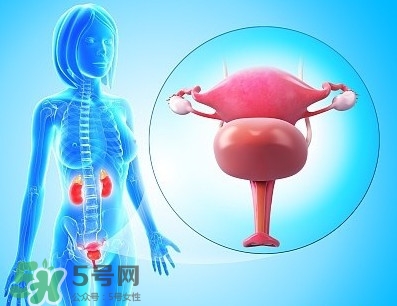 人造子宮能生孩子嗎？人造子宮初現(xiàn)曙光