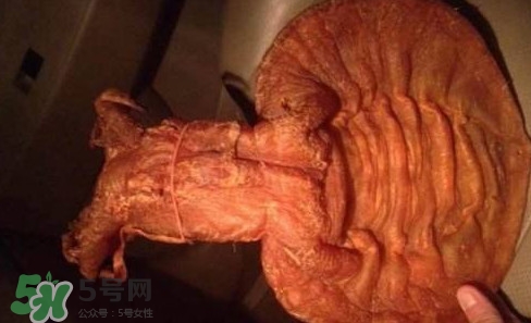 黃唇魚魚鰾是什么？魚鰾是魚的哪個(gè)部位