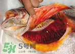 孕婦能吃金錢(qián)鱉嗎？懷孕期間能不能吃金錢(qián)鱉？
