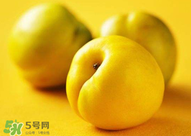 油桃和芒果可以一起吃嗎？芒果和油桃能一起吃嗎？