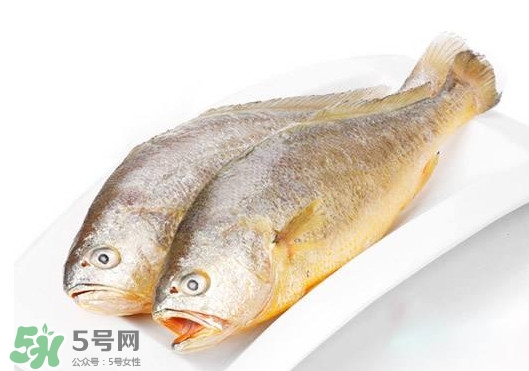 黃唇魚(yú)是不是黃花魚(yú)？黃唇魚(yú)和黃花魚(yú)的區(qū)別