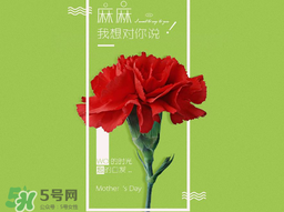 2017年母親節(jié)會(huì)打折嗎？2017年母親節(jié)有什么優(yōu)惠活動(dòng)？