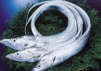 三文魚多少錢一斤2017？新鮮三文魚多少錢一條2017？