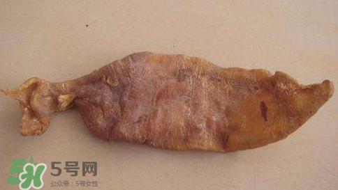 黃唇魚魚鰾是什么？魚鰾是魚的哪個(gè)部位