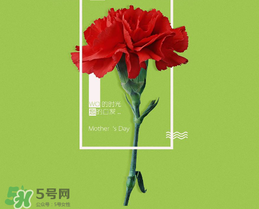 母親節(jié)送什么禮物給老婆？2017年母親節(jié)送老婆禮物推薦