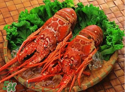 什么時(shí)候釣龍蝦最好？龍蝦幾月份能釣？