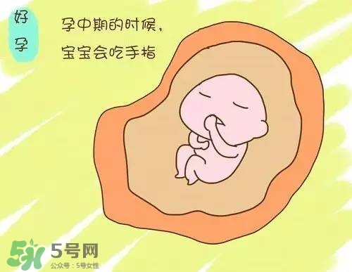 胎兒在媽媽肚子里都會干啥？胎兒的神奇世界