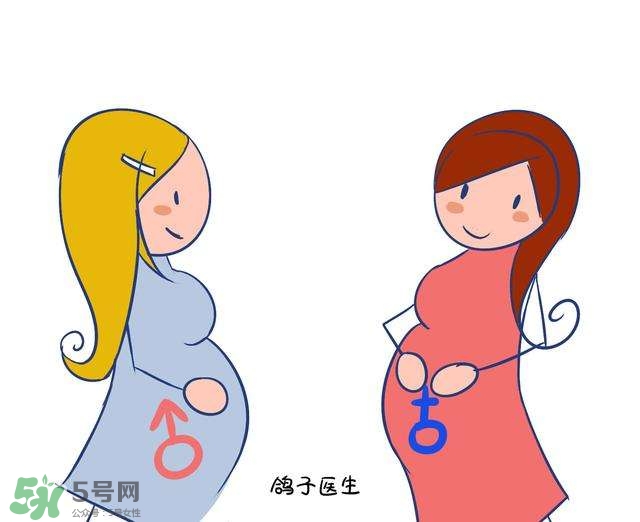 怎么問醫(yī)生胎兒性別？醫(yī)生會告訴胎兒性別嗎？
