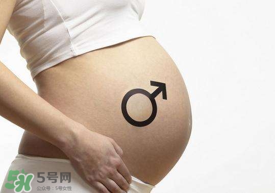 怎么問醫(yī)生胎兒性別？醫(yī)生會告訴胎兒性別嗎？