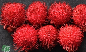 紅毛丹什么時(shí)候上市？紅毛丹什么季節(jié)有？