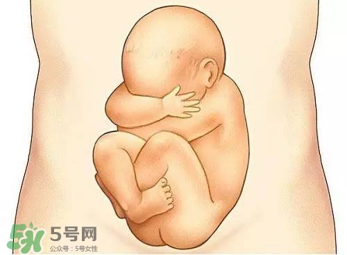 胎兒在媽媽肚子里都會干啥？胎兒的神奇世界