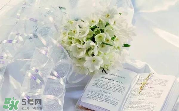 jill stuart湛藍(lán)祝福限定系列有哪些？jill stuart湛藍(lán)限定多少錢(qián)？