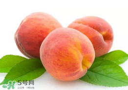 桃子為什么不能和西瓜一起吃？桃子和西瓜為什么不能一起吃？