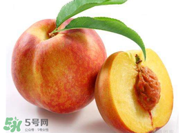 桃子可以放冰箱嗎？桃子能放冰箱保鮮嗎？