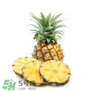 孕婦能吃菠蘿嗎？菠蘿孕婦能不能吃？