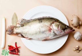 ?五月份吃什么魚(yú)？5月份吃什么魚(yú)？
