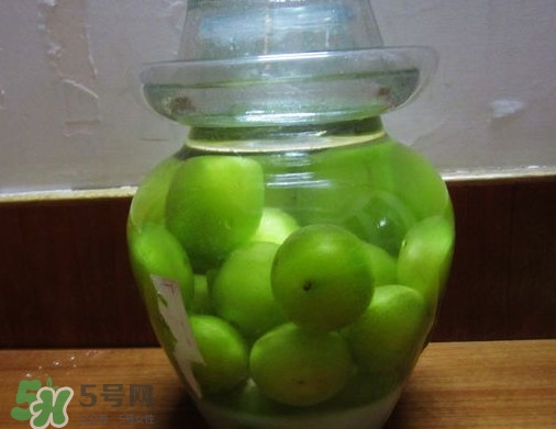 三華李可以泡酒嗎？三華李可以多吃嗎？