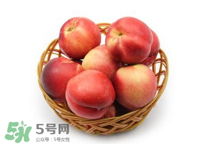 三華李可以泡酒嗎？三華李可以多吃嗎？