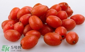 羊奶果可以連皮吃嗎？羊奶果的皮可以吃嗎