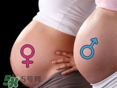 B超單數(shù)據(jù)怎么看男女？B超單看男女準嗎？
