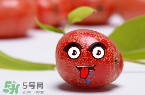 羊奶子有什么藥用價(jià)值？羊奶子有什么功效